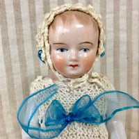 フローズンチャーリー 涼しげな目元のコ