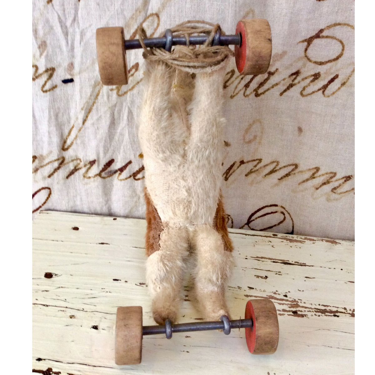 シュタイフ社車輪付きのうさぎ | sputnikplus online shop