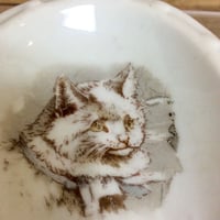 猫の灰皿