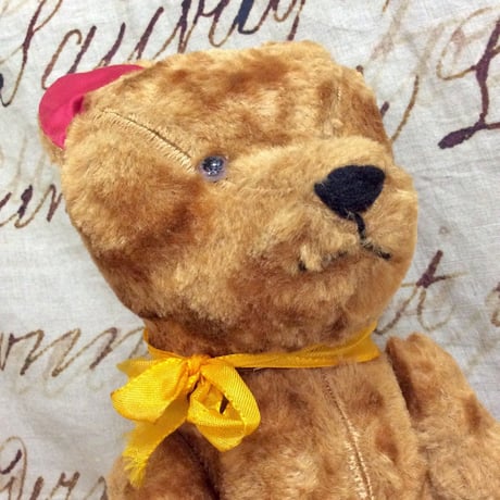 SALE! フレンチベア 赤い耳のコ