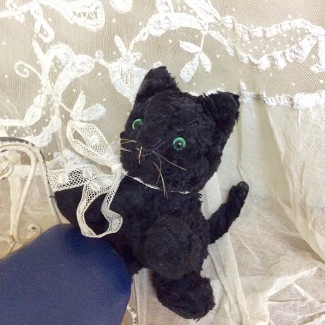 黒いネコ