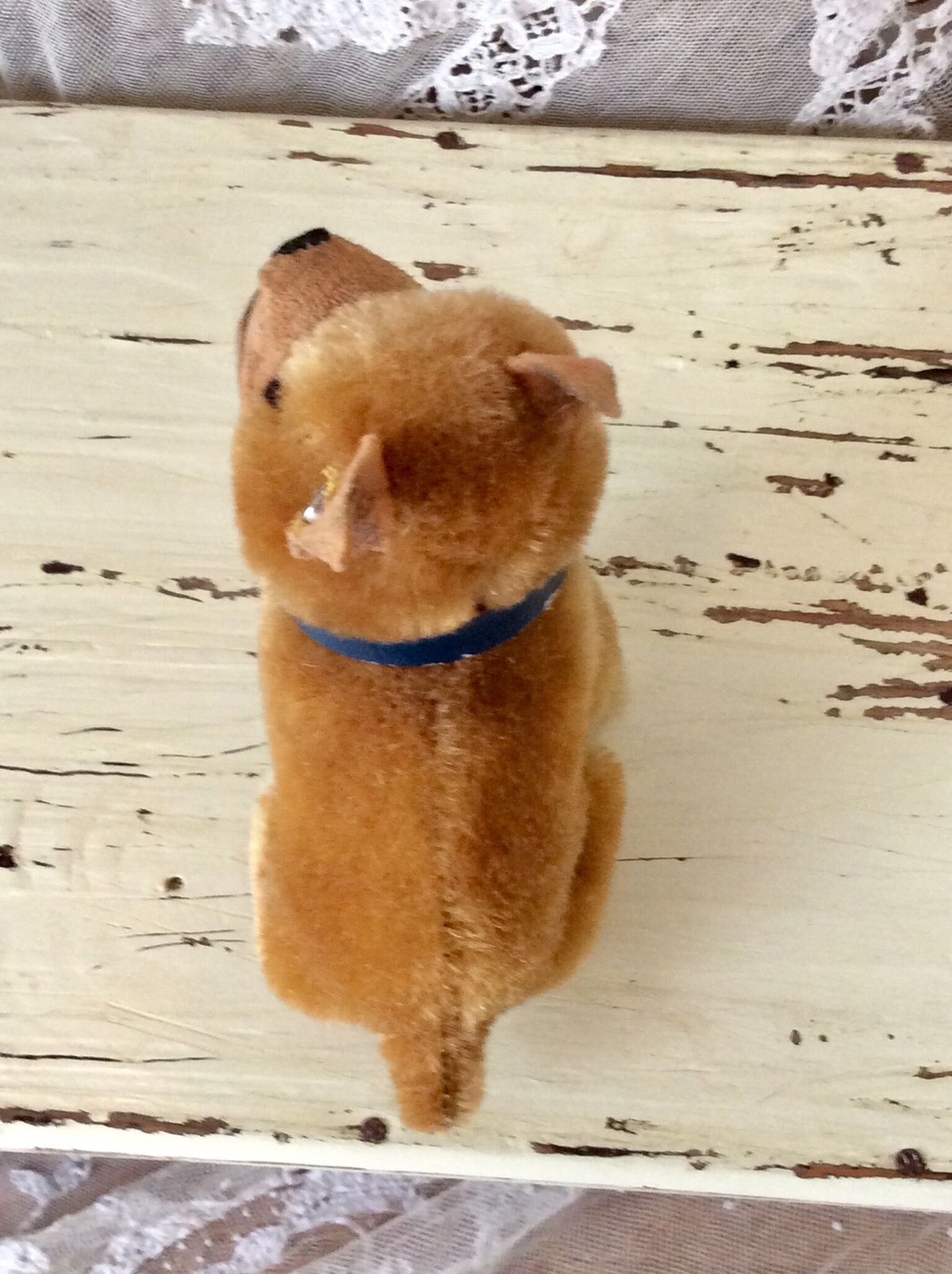 シュタイフ ボクサー犬 シュタイフ社ボクサー犬 sarras | sputnikplus online shop