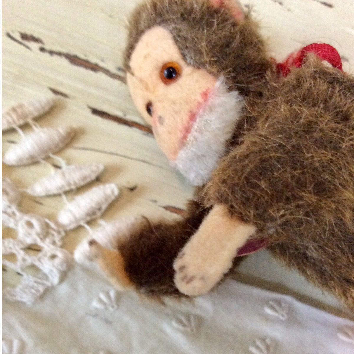 SALE!BERG社 おサルさん | sputnikplus online shop