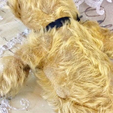 ジンジャー色のクマさん