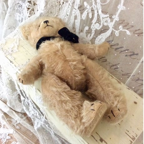 DIEM社 くまさん②