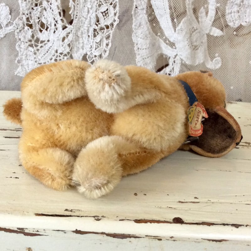 シュタイフ社ボクサー犬 sarras | sputnikplus online shop