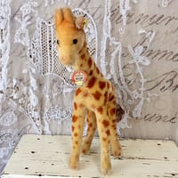 シュタイフ社 きりん giraffe