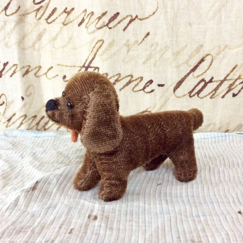 焦げ茶いダックスフンドちゃん | sputnikplus online shop