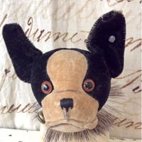 SCHUCO社yes/no cat | sputnikplus online shop