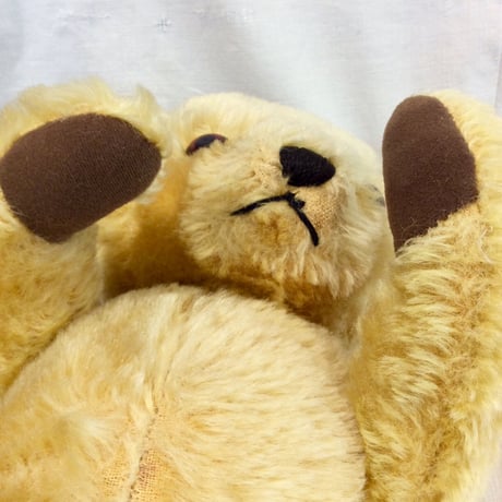 ディーンズ社 くまさん