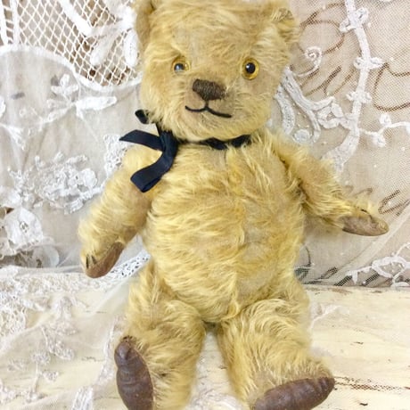 ジンジャー色のクマさん