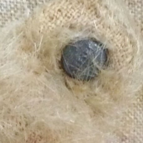 シュタイフ社　小さなしろくまちゃん