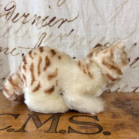 シュタイフ社　眠り顔のコ