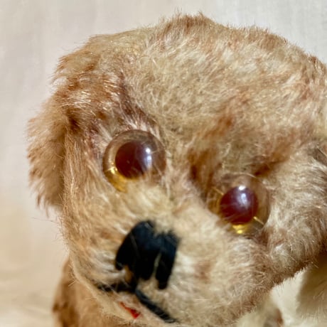 CATEGORY ANTIQUE BEAR アンティークテディベア | sputnikplus