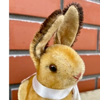 シュタイフ社Sonnyちゃん