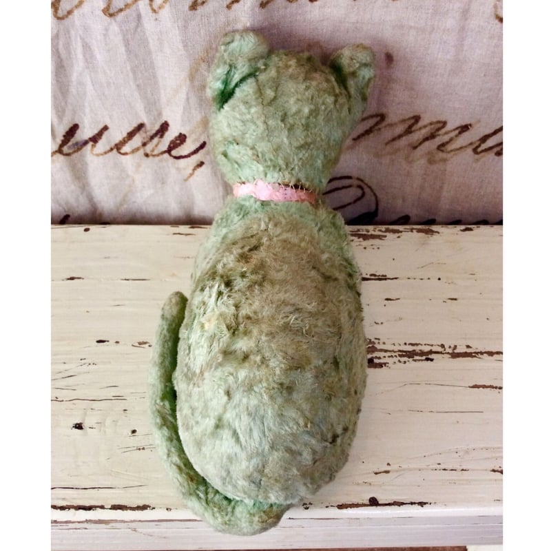 ギョロ目のネコ | sputnikplus online shop