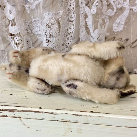 シュタイフ社KITTY ②