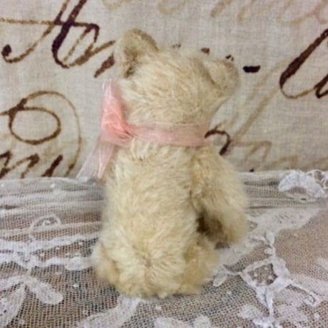 シュタイフ社　小さなしろくまちゃん