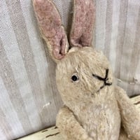 ミニミニ.ラビット