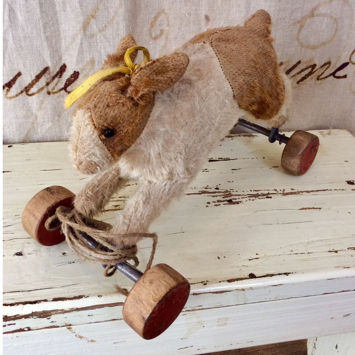 シュタイフ社車輪付きのうさぎ | sputnikplus online shop