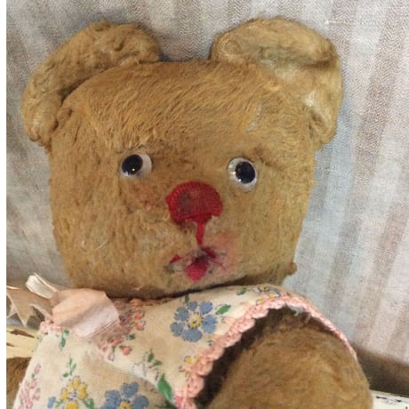 赤いお鼻のコ