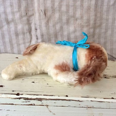 シュタイフ社 floppy cockie 小さいコ