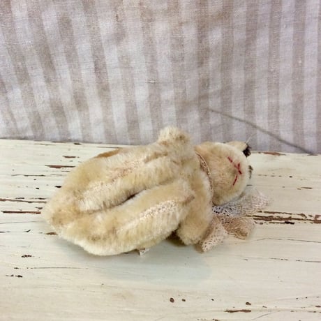 シュタイフ社 manni