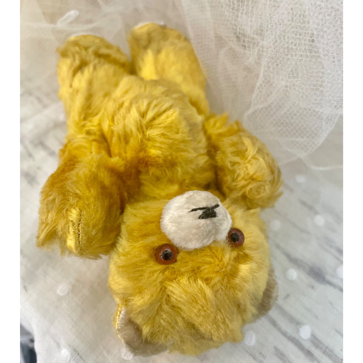 黄色いくまさん | sputnikplus online shop