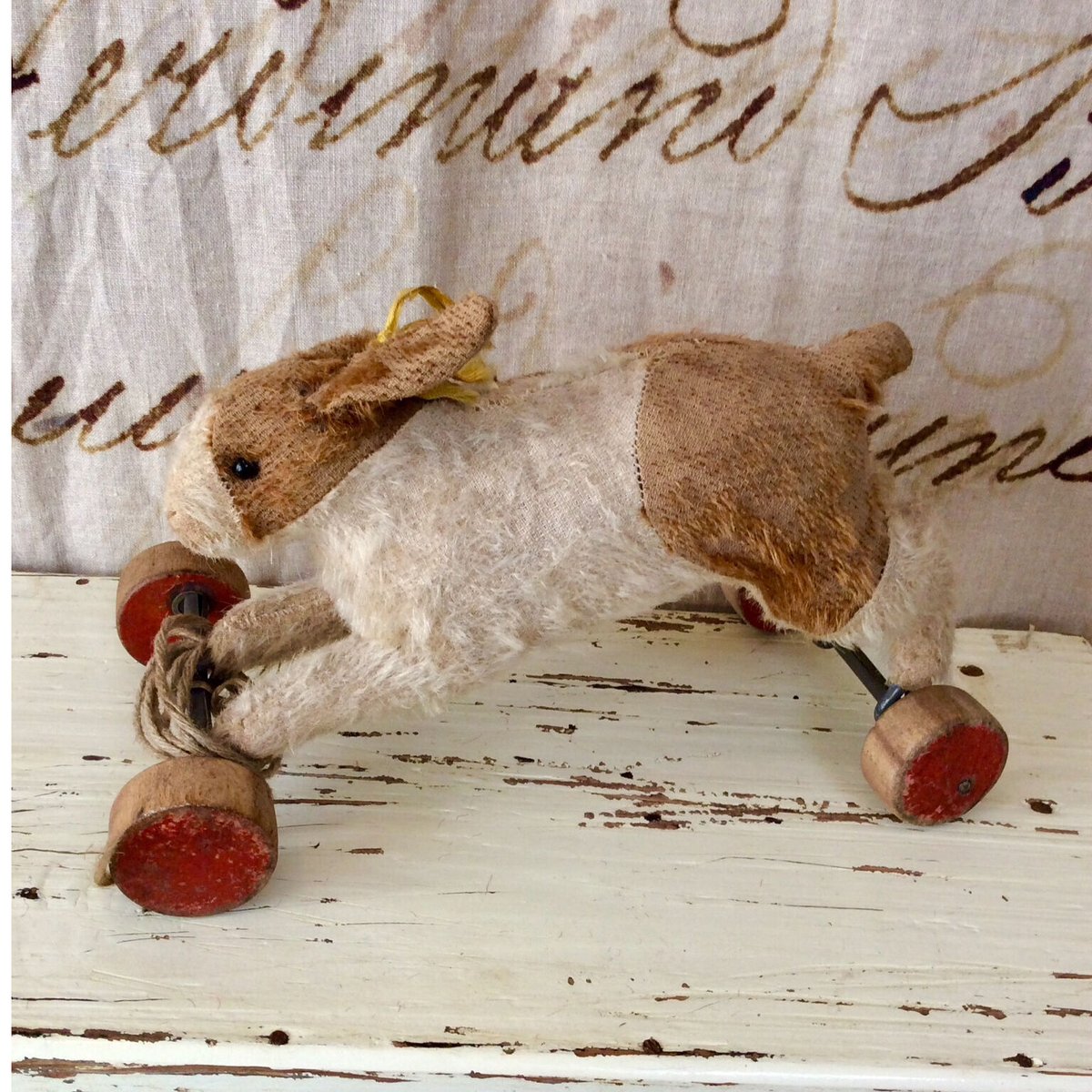 シュタイフ社車輪付きのうさぎ | sputnikplus online shop