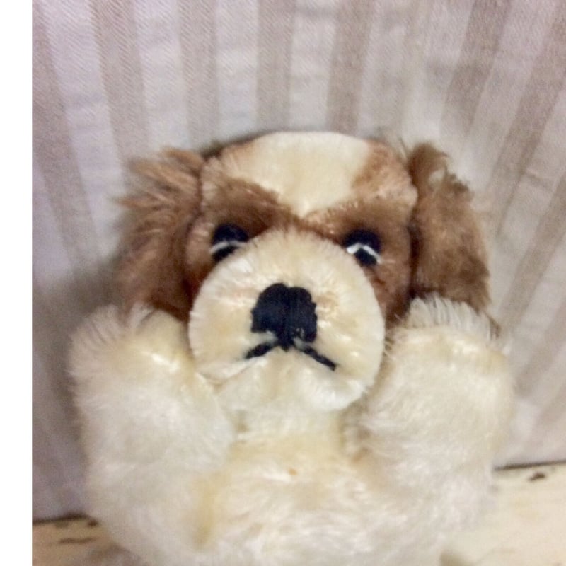 シュタイフ社 floppy cockie | sputnikplus online shop