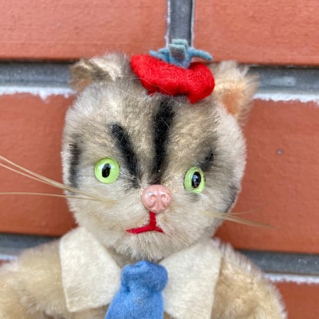 意思が強そうな猫