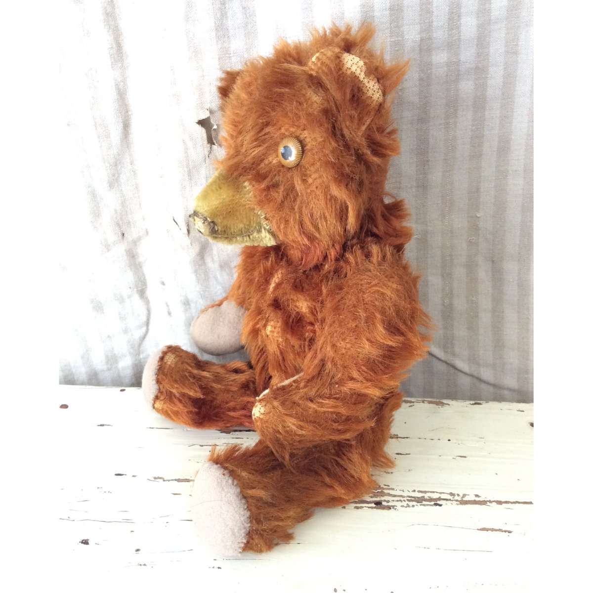 はにくま ニッカーボッカー社 ブリキの目のくまちゃん | sputnikplus online shop