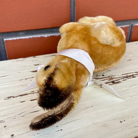シュタイフ社Sonnyちゃん