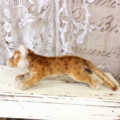 シュタイフ社 lion cub