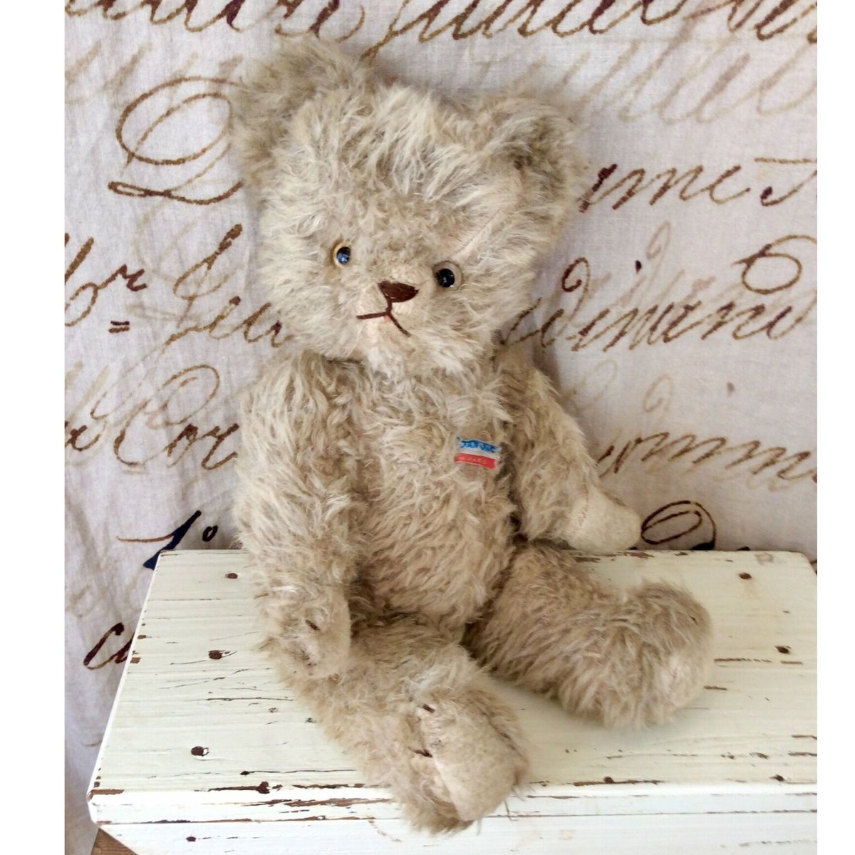 Jan jac社のクマちゃん | sputnikplus online shop