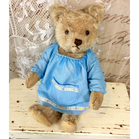 アンティークベア チーキーベア 22cm - アンティークとテディベアの店 Parade