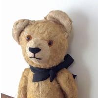 フランスのくまさん