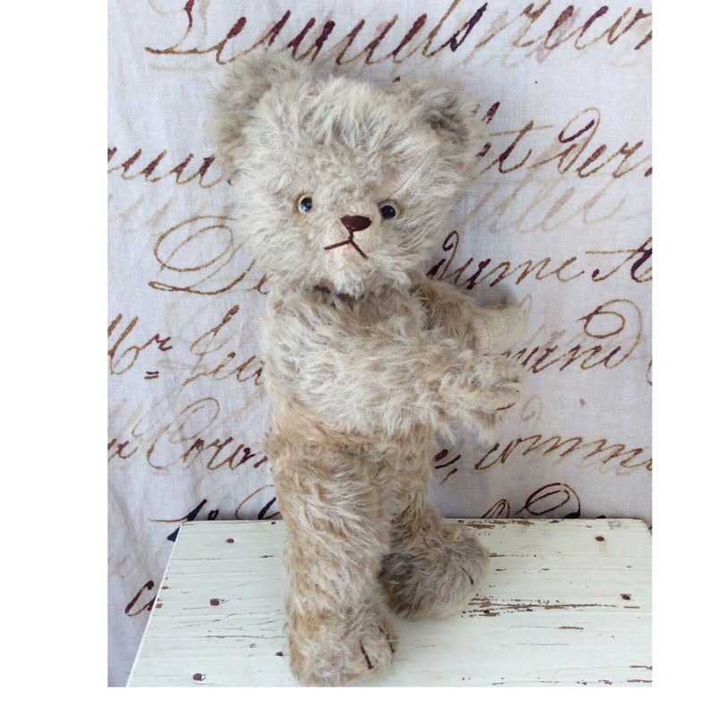 Jan jac社のクマちゃん | sputnikplus online shop