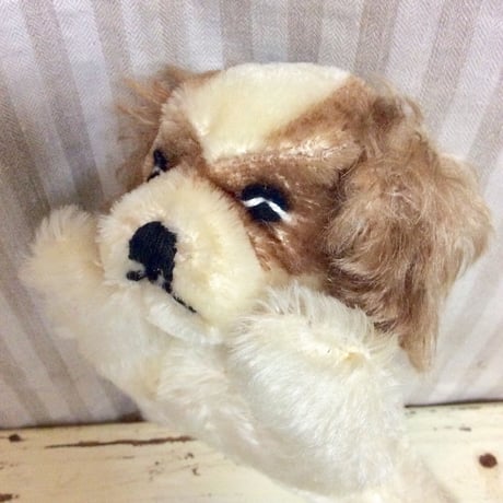 シュタイフ社 floppy cockie