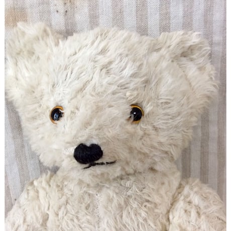 アンティークテディベア | STORES