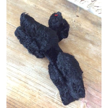 睨みの効いた黒プードル
