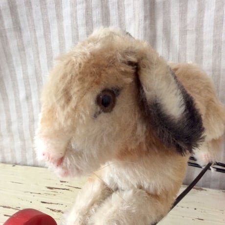 シュタイフ社 rabbit on wheels