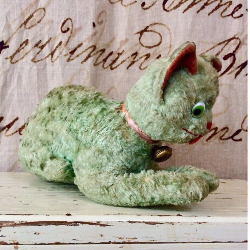 ギョロ目のネコ | sputnikplus online shop