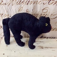 FADAP社 大きい方の黒猫