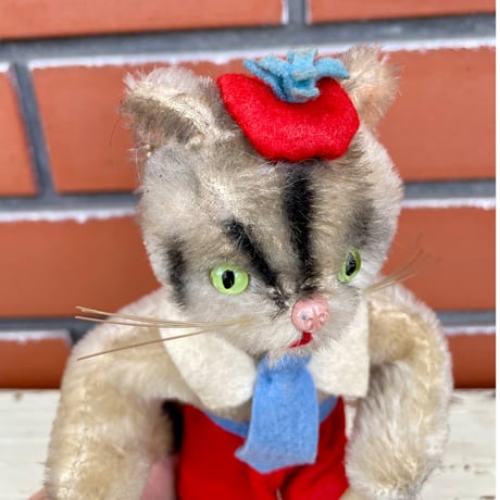 意思が強そうな猫