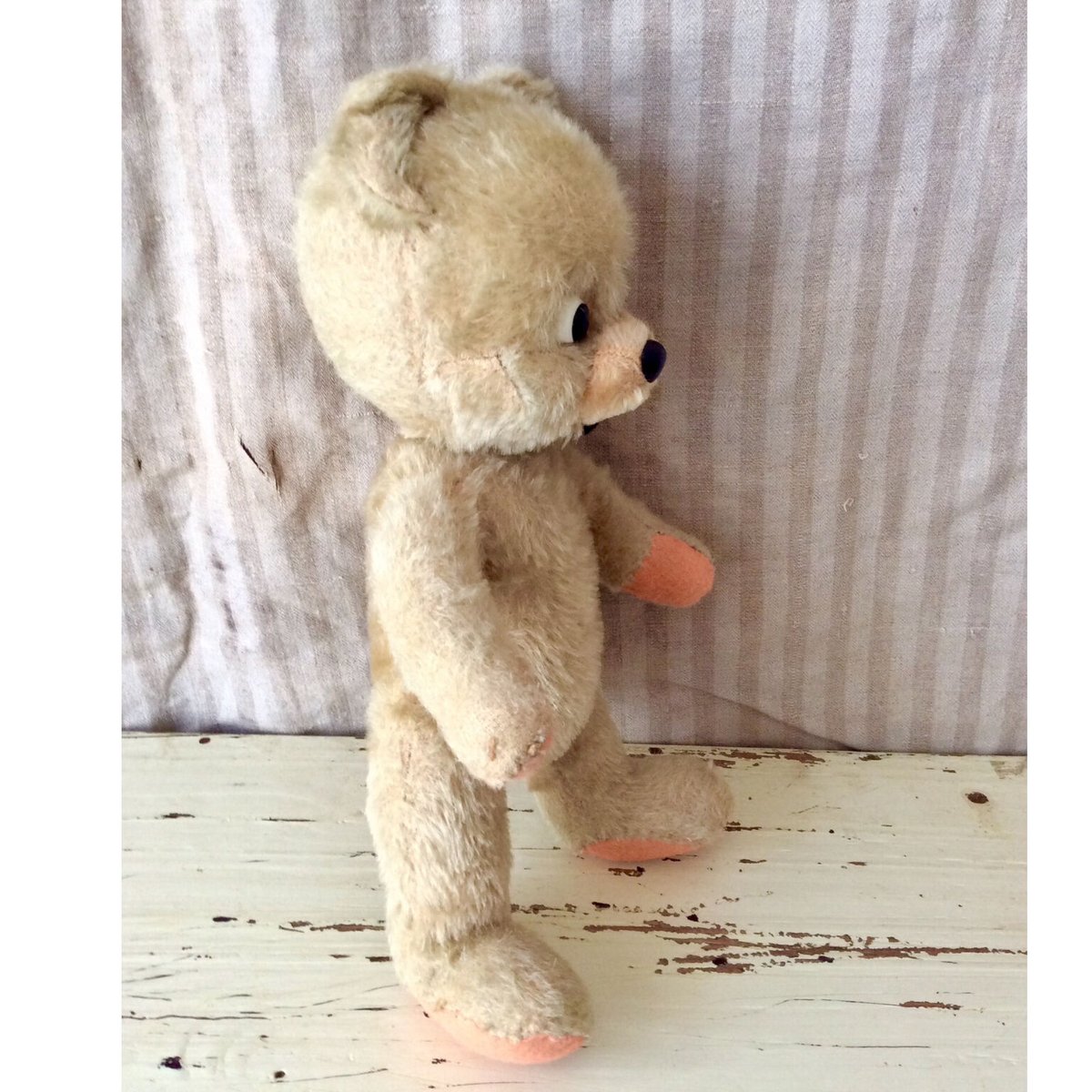 シュコー社 ポンチ目のくま | sputnikplus online shop