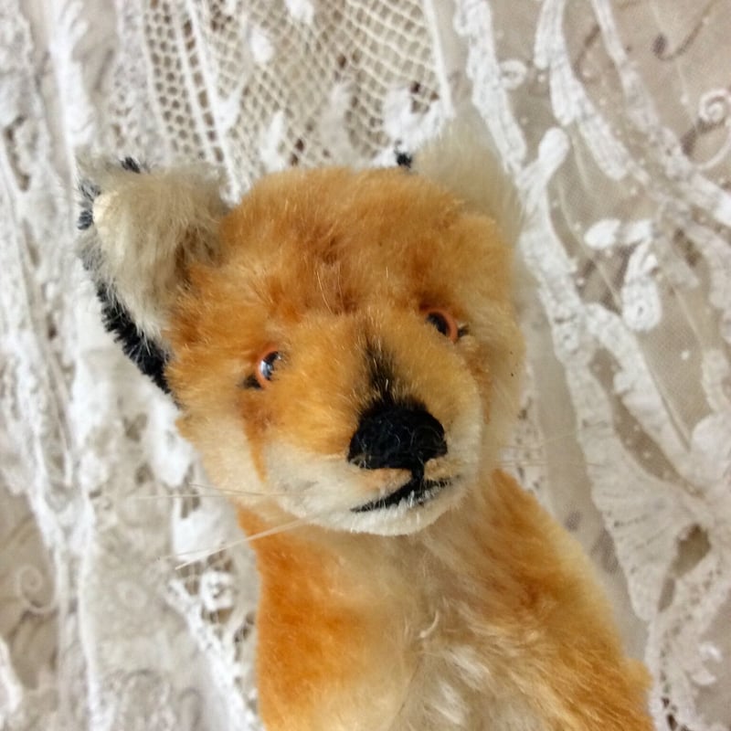 シュタイフ社 xorry | sputnikplus online shop