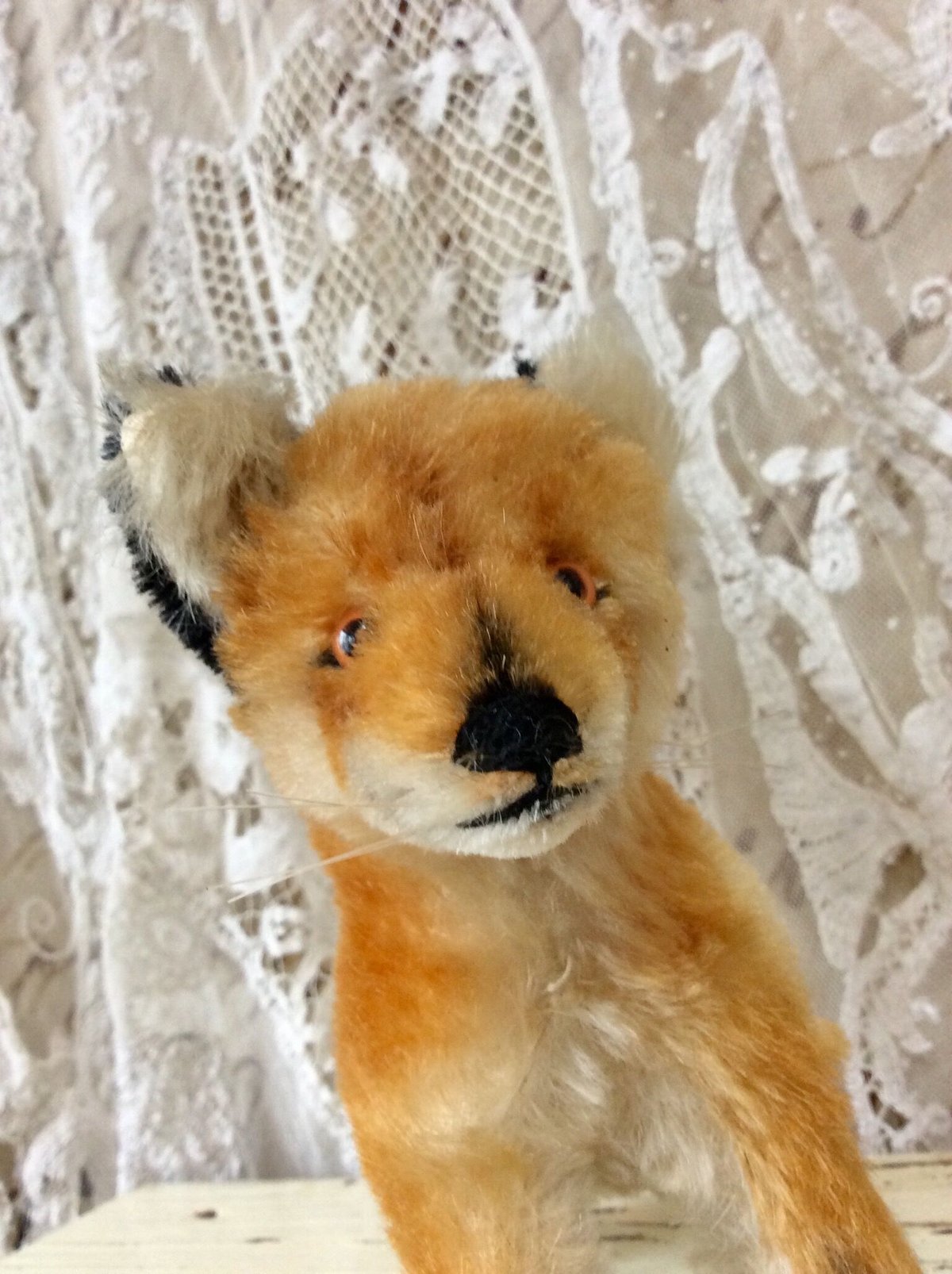 シュタイフ社 xorry | sputnikplus online shop