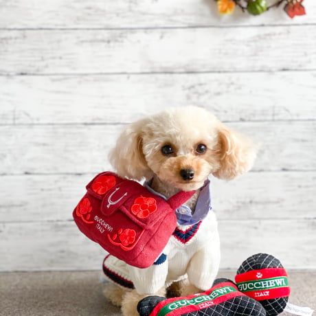 Dog Diggin Designs Gucchewi ボール
