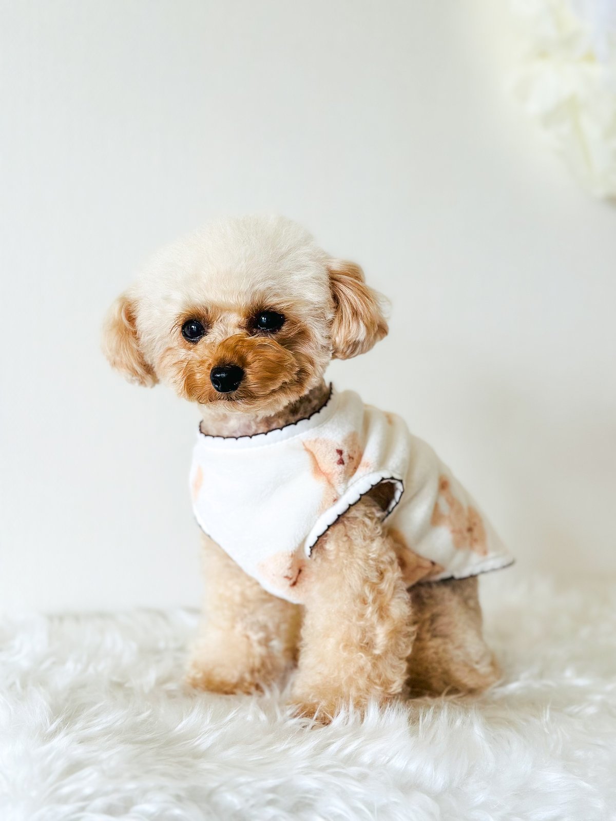 予約商品 約4週間でお届け予定】クマちゃんフリースベスト（アイボリー